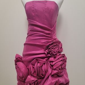 Fuchsia Dress